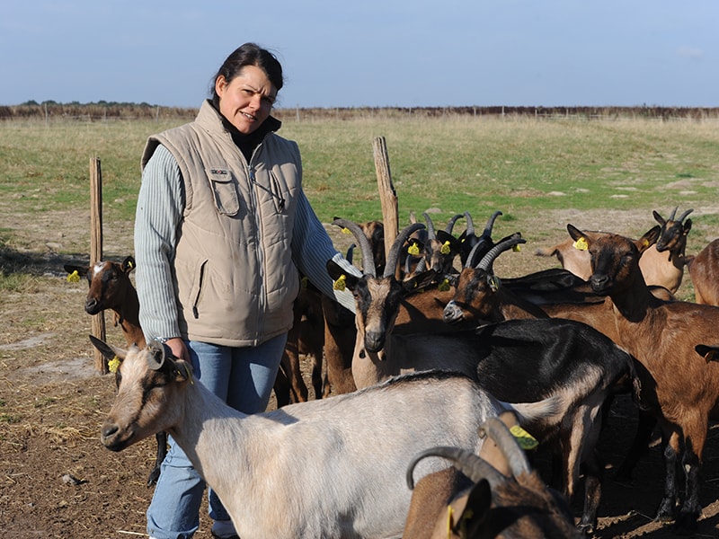 Visiter La Ferme