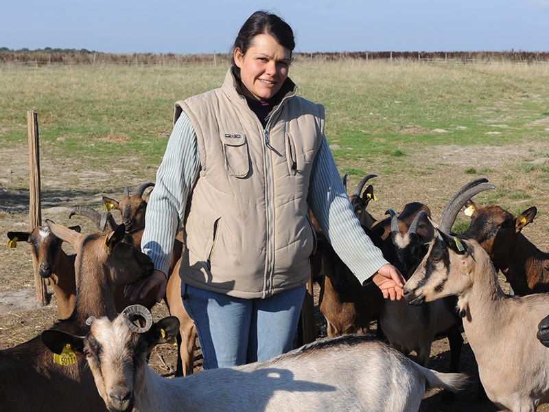 Visiter La Ferme